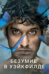 Безумие в Уэйкфилде (2021) онлайн