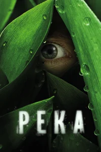 Река (2012) онлайн