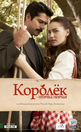 Королёк - птичка певчая (2013) онлайн